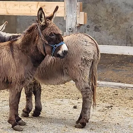 Paal 162 - Tolle Aussicht, 2 Terasssen, Grosses Grundstueck Semesterbostad