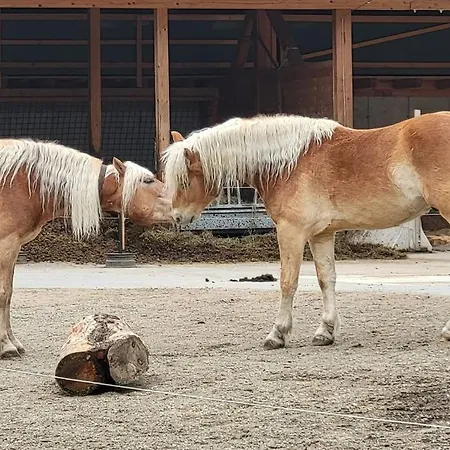Semesterbostad Paal 162 - Tolle Aussicht, 2 Terasssen, Grosses Grundstueck *