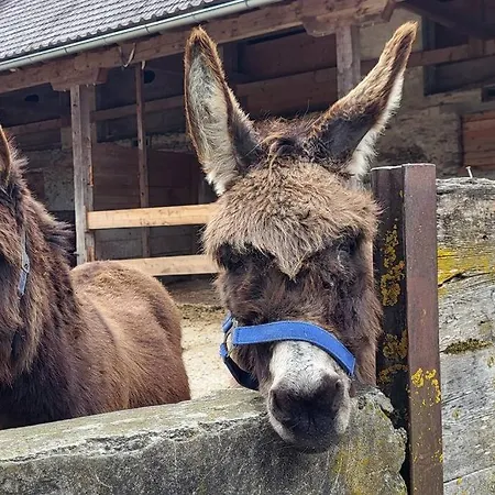 Paal 162 - Tolle Aussicht, 2 Terasssen, Grosses Grundstueck *