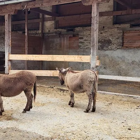 Paal 162 - Tolle Aussicht, 2 Terasssen, Grosses Grundstueck * Stadl an der Mur