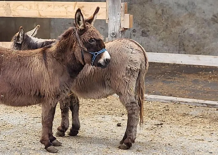 Paal 162 - Tolle Aussicht, 2 Terasssen, Grosses Grundstueck Dom wakacyjny