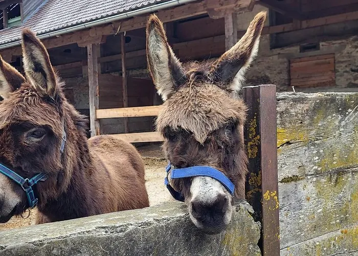 Paal 162 - Tolle Aussicht, 2 Terasssen, Grosses Grundstueck *