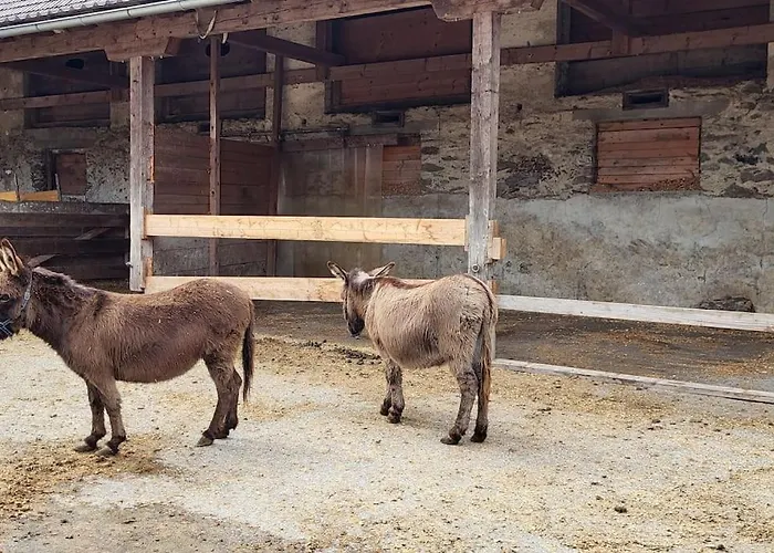 Paal 162 - Tolle Aussicht, 2 Terasssen, Grosses Grundstueck * Stadl an der Mur